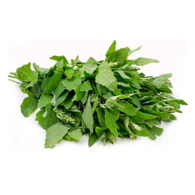 Bathua