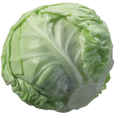 Cabbage