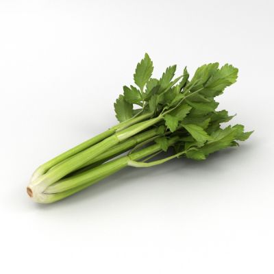 Celery