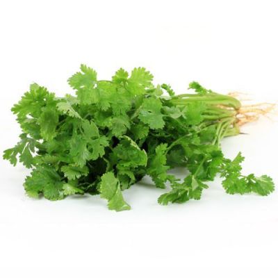 Coriander (Dhaniya) 