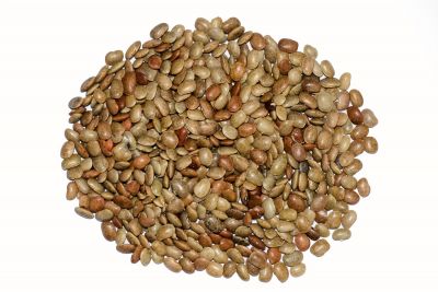 Horse Gram(Brown)