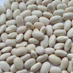 Kidney Bean Verigated