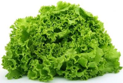 Lettuce salad