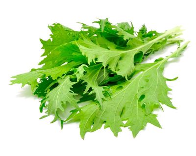 Mizuna salad leaves