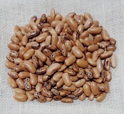 Kidney Bean Munsyari