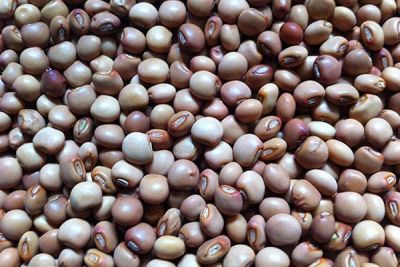 Pegion Pea