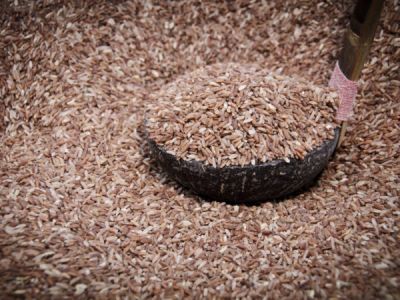 Red Rice