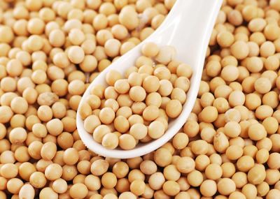 Soyabean white