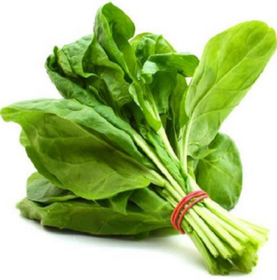Spinach (Palak)