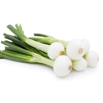 Spring Onion
