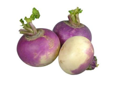 Turnip
